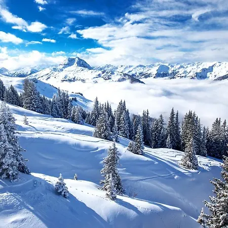 Hotel Sport Und Klausen Kirchberg in Tirol