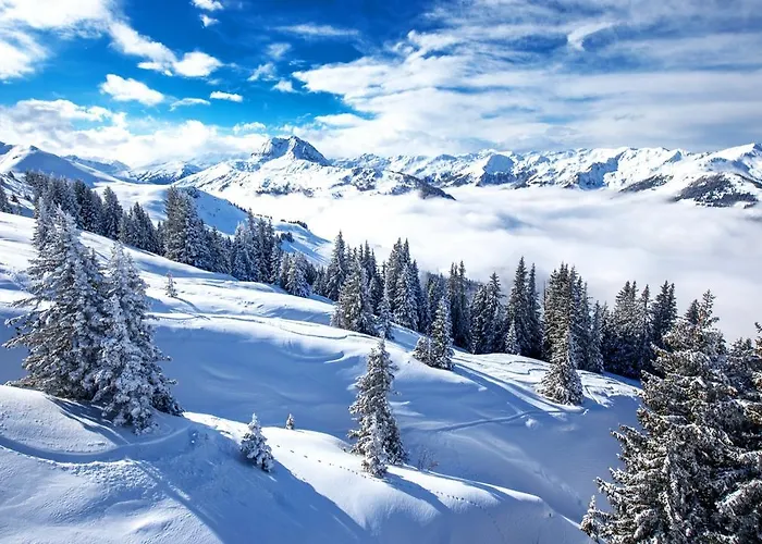 酒店 克劳森运动家庭酒店 蒂罗尔-基希贝格